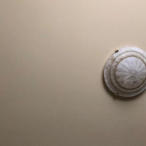 Meet your Posher, Audrey